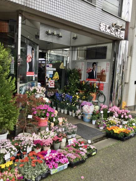 「坂東生花店」　（埼玉県さいたま市北区）の花屋店舗写真2